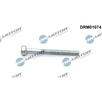 Vis, support pour controleur d'injecteurs Dr.Motor DRM01074