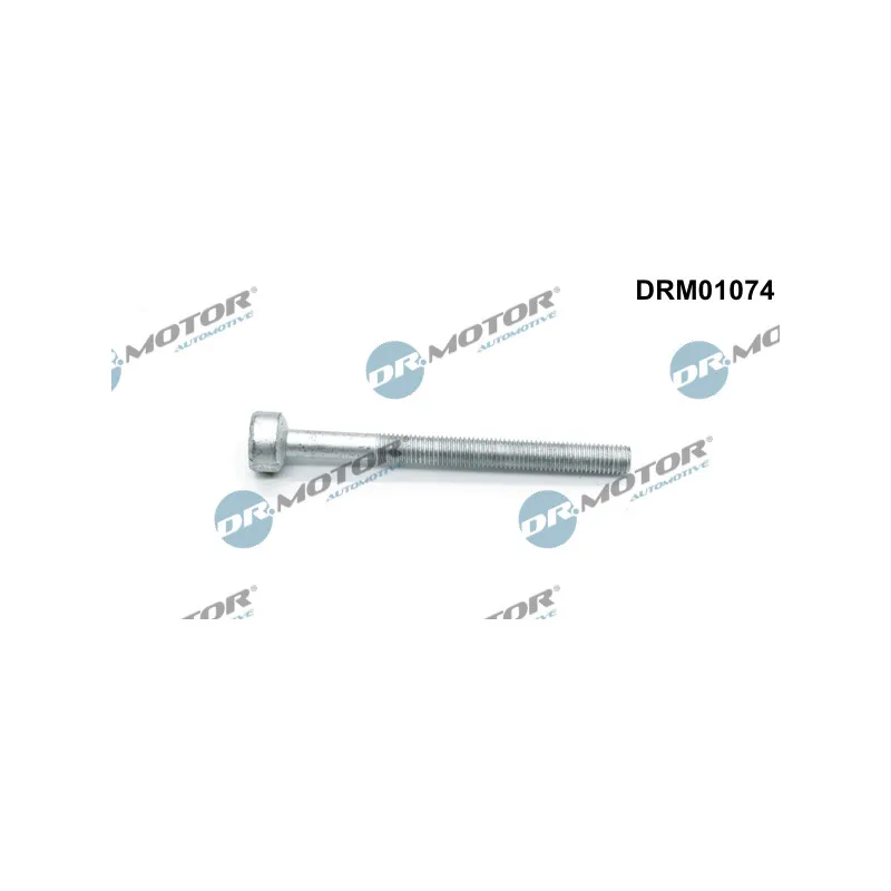 Vis, support pour controleur d'injecteurs Dr.Motor DRM01074