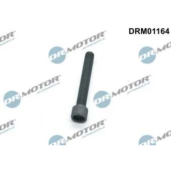 Vis, support pour controleur d'injecteurs Dr.Motor DRM01164