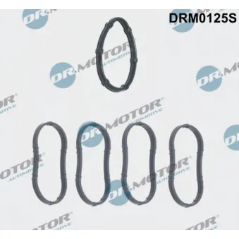 Jeu de joints d'étanchéité, collecteur d'admission Dr.Motor DRM0125S