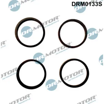 Jeu de joints d'étanchéité, collecteur d'admission Dr.Motor DRM0133S