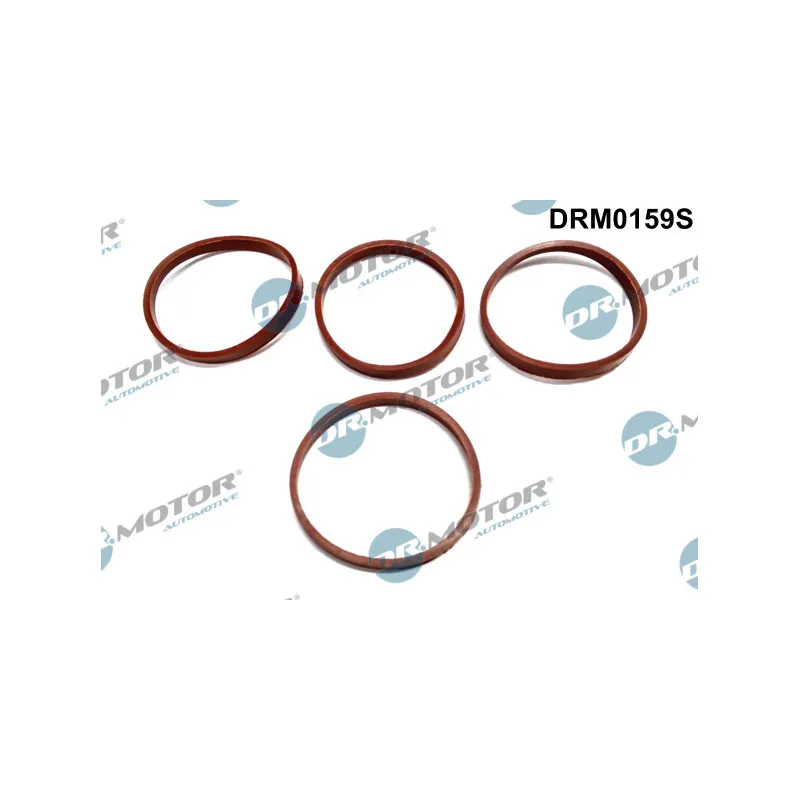 Jeu de joints d'étanchéité, collecteur d'admission Dr.Motor DRM0159S