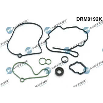 Kit de réparation, pompe à vide Dr.Motor DRM0192K