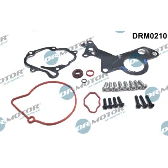 Kit de réparation, pompe à vide (freinage) Dr.Motor