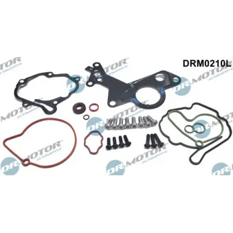 Kit de réparation, pompe à vide (freinage) Dr.Motor