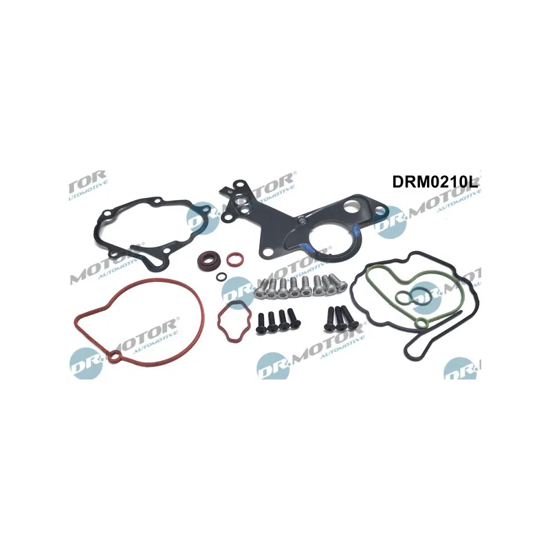 Kit de réparation, pompe à vide (freinage) Dr.Motor DRM0210L