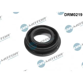 Bague d'étanchéité, puit de bougie Dr.Motor