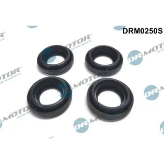 Joint d'étanchéité, porte-injecteur Dr.Motor DRM0250S