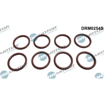Bague d'étanchéité, porte-injecteur Dr.Motor DRM0254S