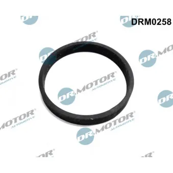 Joint, entrée de turbine (compresseur) Dr.Motor DRM0258