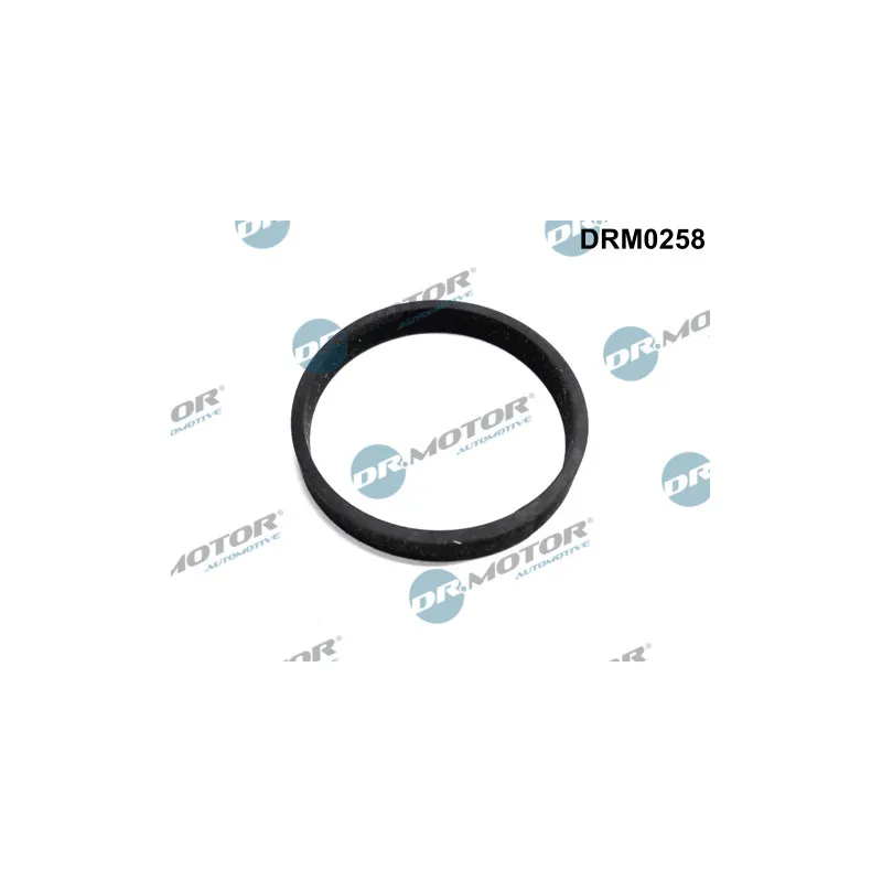 Joint, entrée de turbine (compresseur) Dr.Motor DRM0258