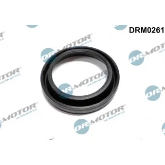 Joint d'étanchéité, porte-injecteur Dr.Motor