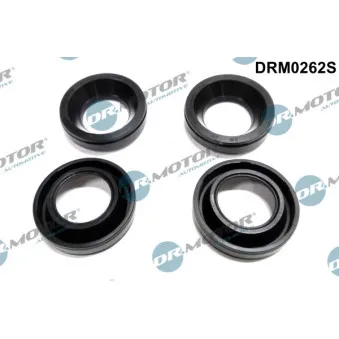 Joint d'étanchéité, porte-injecteur Dr.Motor DRM0262S