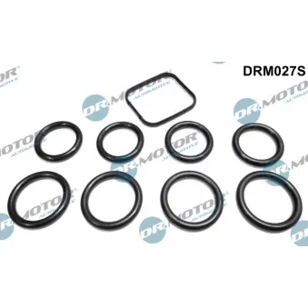 Jeu de joints d'étanchéité, collecteur d'admission Dr.Motor DRM027S