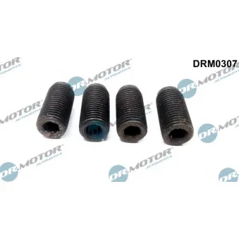 Vis à tenon carré, Pompe à injection Dr.Motor DRM0307