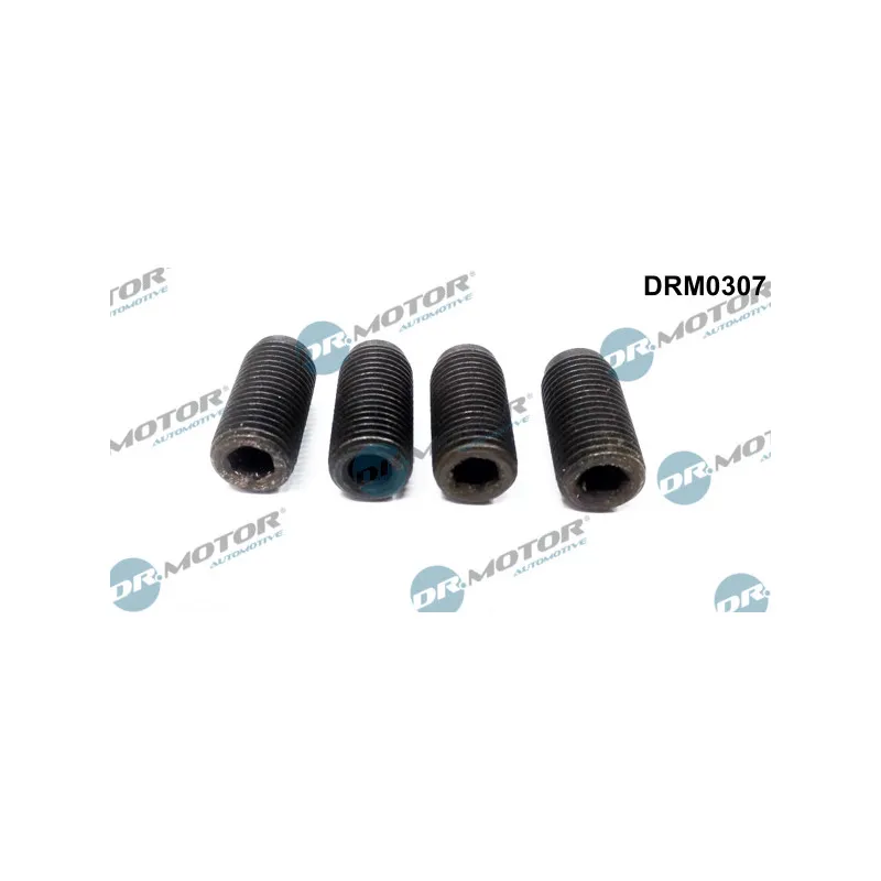 Vis à tenon carré, Pompe à injection Dr.Motor DRM0307