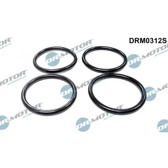 Jeu de joints d'étanchéité, collecteur d'admission Dr.Motor DRM0312S