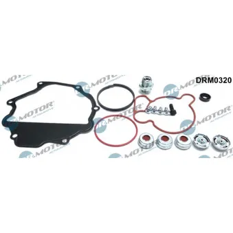 Kit de réparation, pompe à vide (freinage) Dr.Motor DRM0320