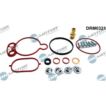 Kit de réparation, pompe à vide (freinage) Dr.Motor DRM0321