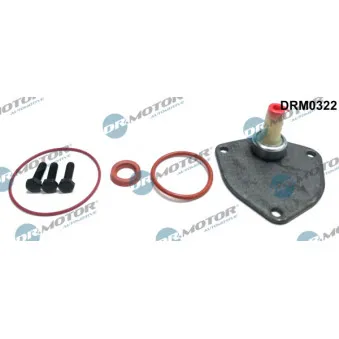 Kit de réparation, pompe à vide (freinage) Dr.Motor DRM0322