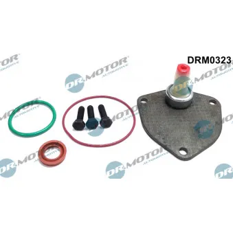 Kit de réparation, pompe à vide (freinage) Dr.Motor DRM0323