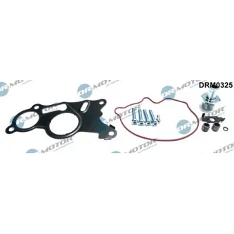Kit de réparation, pompe à vide (freinage) Dr.Motor DRM0325
