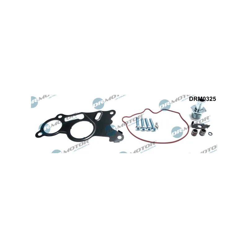 Kit de réparation, pompe à vide (freinage) Dr.Motor DRM0325