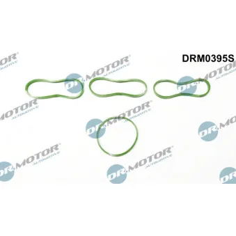 Jeu de joints d'étanchéité, collecteur d'admission Dr.Motor DRM0395S