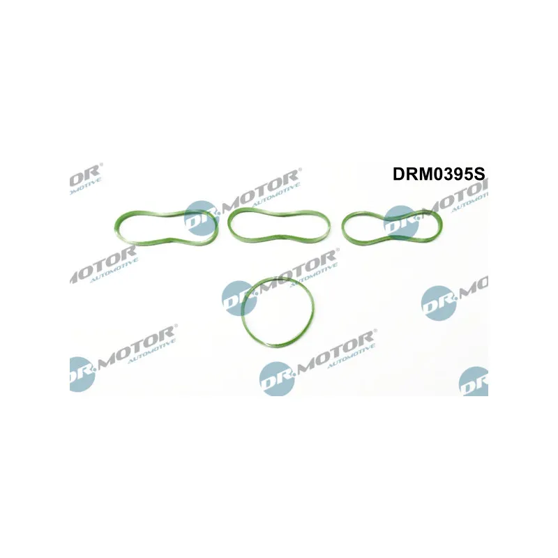 Jeu de joints d'étanchéité, collecteur d'admission Dr.Motor DRM0395S
