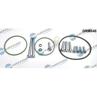 Kit de réparation, pompe à vide (freinage) Dr.Motor