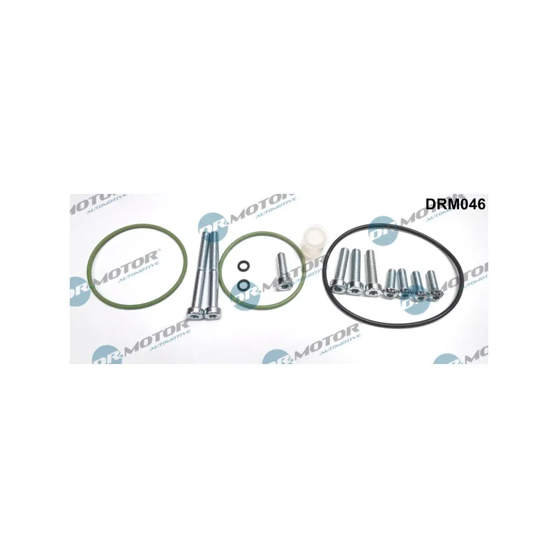 Kit de réparation, pompe à vide (freinage) Dr.Motor DRM046