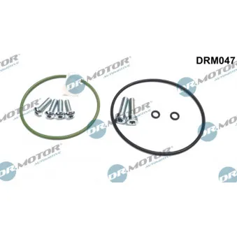 Kit de réparation, pompe à vide (freinage) Dr.Motor DRM047