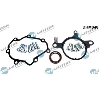 Kit de réparation, pompe à vide (freinage) Dr.Motor DRM048