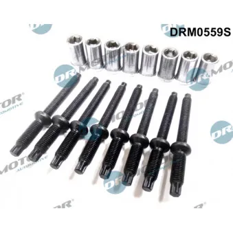 Vis, support pour controleur d'injecteurs Dr.Motor