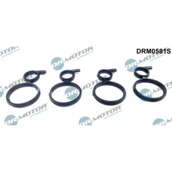 Bague d'étanchéité, compartiment du gicleur Dr.Motor DRM0581S
