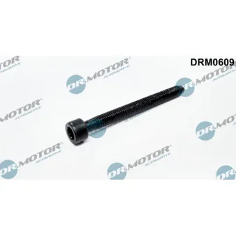 Vis, support pour controleur d'injecteurs Dr.Motor DRM0609