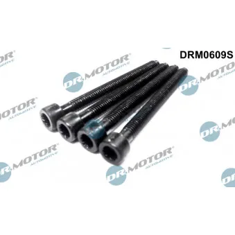 Vis, support pour controleur d'injecteurs Dr.Motor DRM0609S