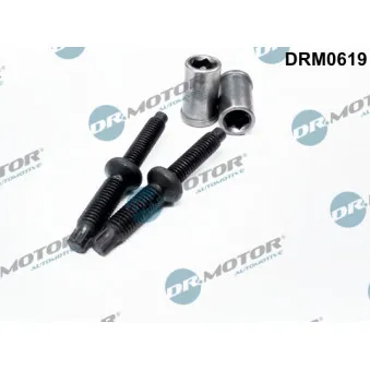 Vis, support pour controleur d'injecteurs Dr.Motor