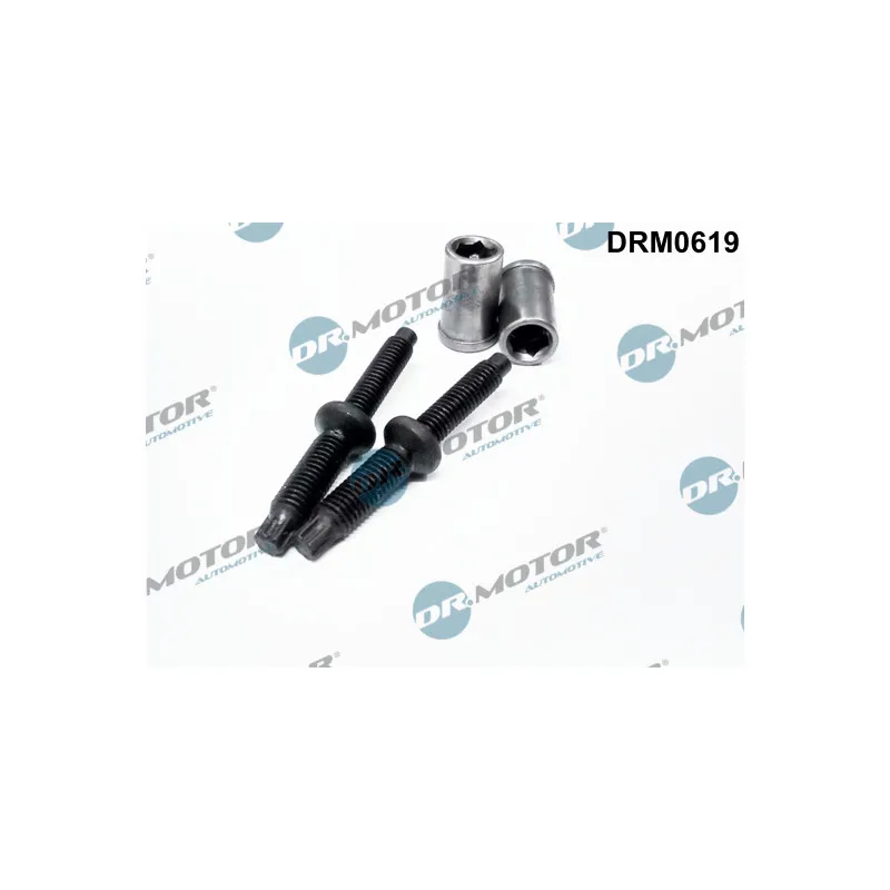 Vis, support pour controleur d'injecteurs Dr.Motor DRM0619