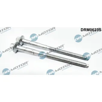 Vis, support pour controleur d'injecteurs Dr.Motor DRM0623S