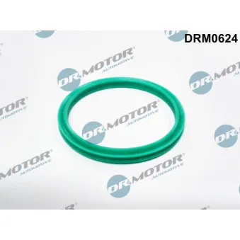Bague d'étanchéité, gaine de suralimentation Dr.Motor DRM0624