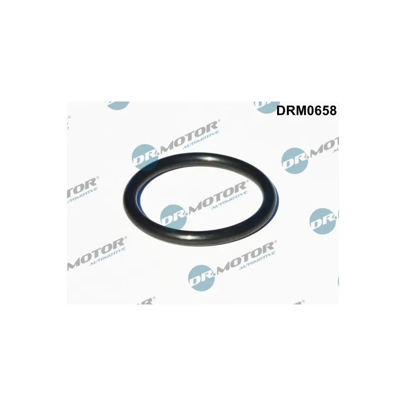 Joint, entrée de turbine (compresseur) Dr.Motor DRM0658