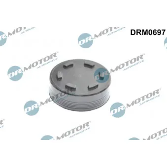 Bouchon, arbre à came Dr.Motor DRM0697