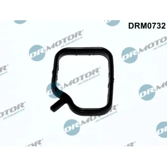 Joint d'étanchéité, tuyau de liquide de refroidissement Dr.Motor DRM0732