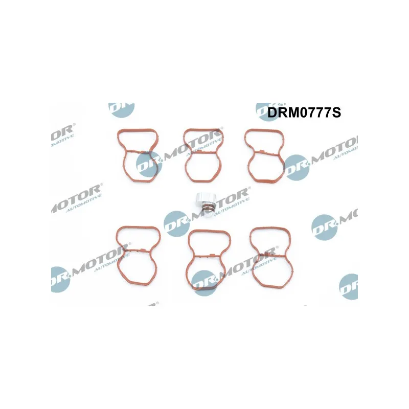 Jeu de joints d'étanchéité, collecteur d'admission Dr.Motor DRM0777S
