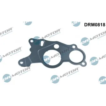 Joint, pompe à vide Dr.Motor DRM0818