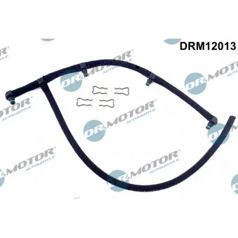 Tuyau, carburant de fuite Dr.Motor DRM12013