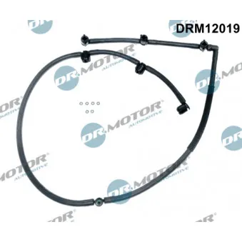 Tuyau, carburant de fuite Dr.Motor DRM12019