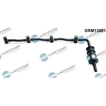 Tuyau, carburant de fuite Dr.Motor