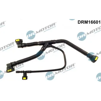 Tuyau, ventilation de carter-moteur Dr.Motor DRM16601